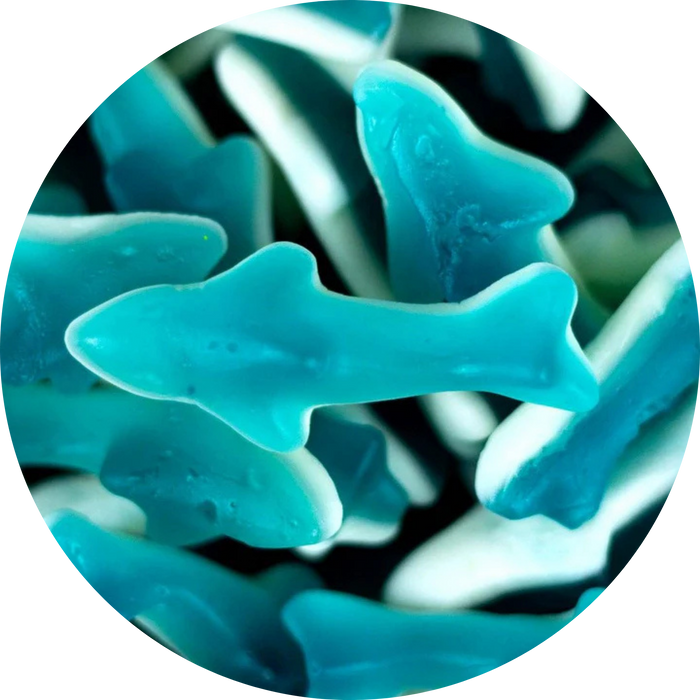 Swedish Foam Sharks